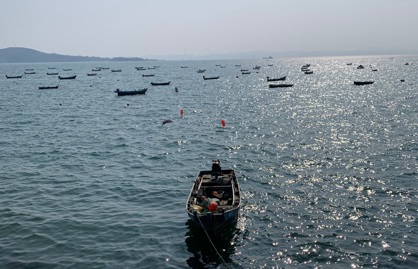 How Much Does a Premium Fishing Charter Cost? Honest Pricing Guide
